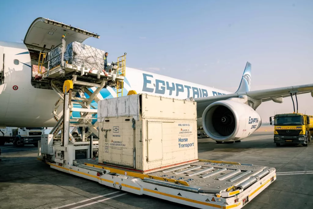 EgyptAir becomes official carrier for equestrian team at Qatar Championship 5 - Egyptian Gazette