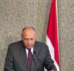 Egypt, Hungary to expand economic co-operation