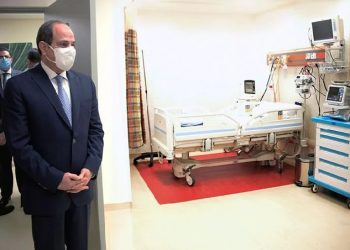 Sisi terms overpopulation as national security issue