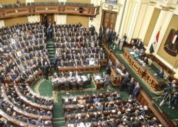 Egypt witnesses advanced steps in human rights domain – parlt committee