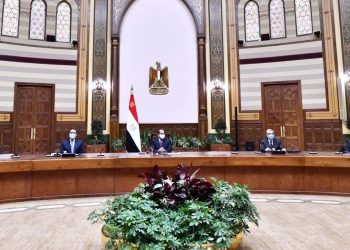 Sisi says Egypt keen on attracting FDI to clean energy sector