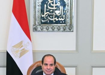 El-Sisi Participates in Bureau of the African Union Summit Via Video Conferenc 