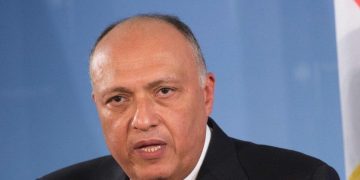 Shoukri reviews Ethiopian dam file with Finnish FM