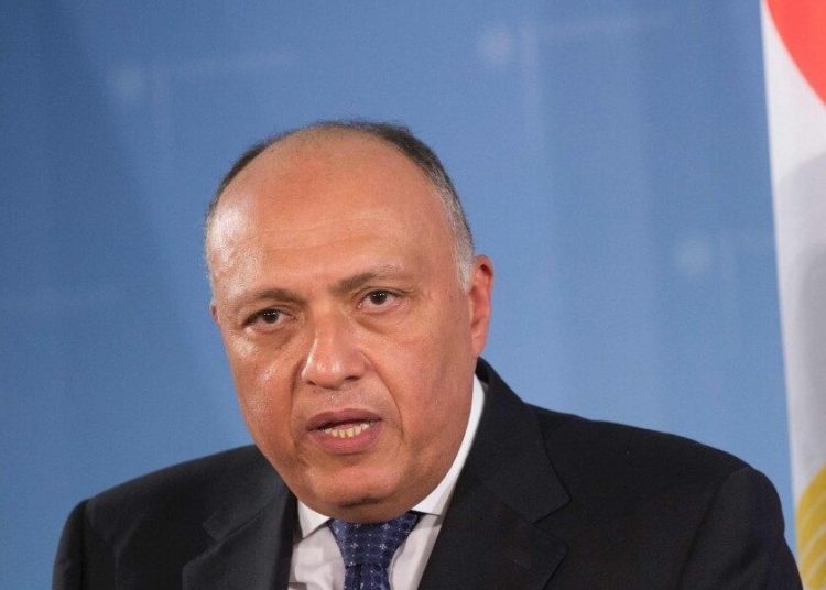 FM delivers Sisi’s message to SA President on GERD 1 - Egyptian Gazette