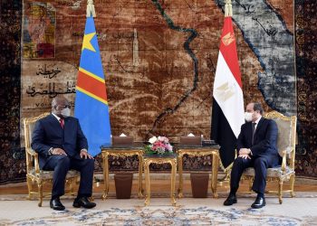 Sisi, Tshisekedi discuss regional issues, GERD
