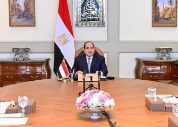 Sisi addresses virtual AU summit hosted by DRC