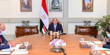 Sisi addresses virtual AU summit hosted by DRC
