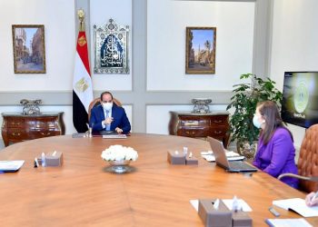 Sisi stresses importance of human resources development
