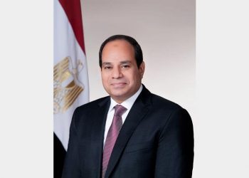 Sisi congratulates  UAE on Hope probe’s entry into Mars