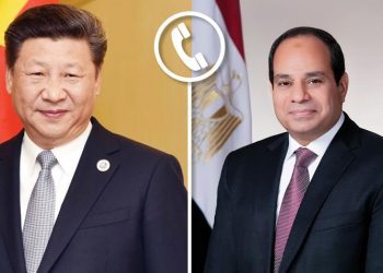 Sisi: Egyptian-Chinese relations witnessing great momentum