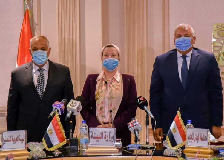 Profiting from palm waste 1 - Egyptian Gazette