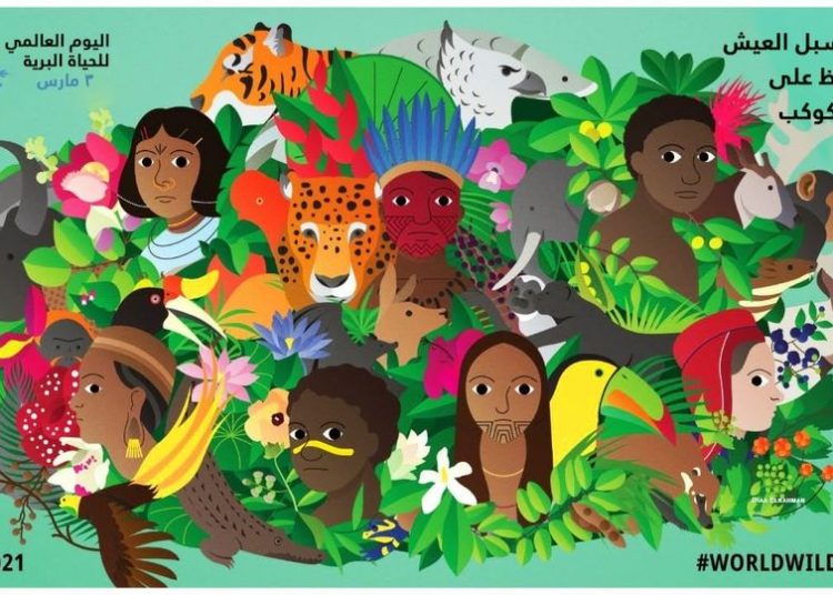 Egypt marks World Wildlife Day 1 - Egyptian Gazette