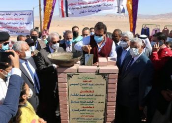 Egypt to build govt university in each governorate –Minister