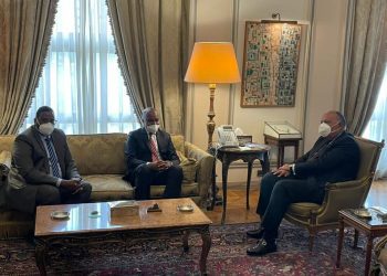  Egypt keen on achieving peace, stability in Somalia