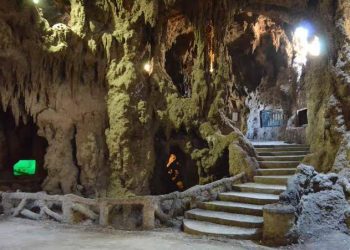 Fish, trees and strolls