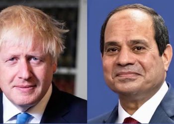 Sisi, Johnson review situation in Libya, developments of Ethiopia’s dam file
