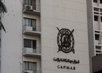 Egypt ranks sixth among world’s top recipients of remittances