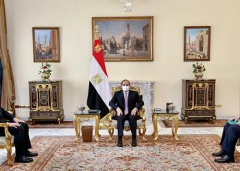 Sisi: Restoring countries’ institutions key to combating terrorism, extremism