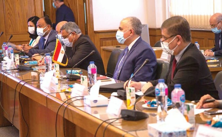 Egypt in talks with EU, US special envoy to Sudan over GERD 1 - Egyptian Gazette