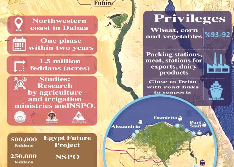 New Delta: Promise for agriculture, urbanisation 2 - Egyptian Gazette New Delta: Promise for agriculture, urbanisation 1 - Egyptian Gazette