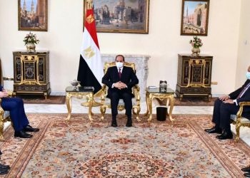 Sisi stresses Egypt keenness to combat illegal migration