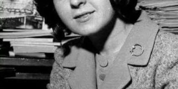 The TV sparrow 1 - Egyptian Gazette The TV sparrow