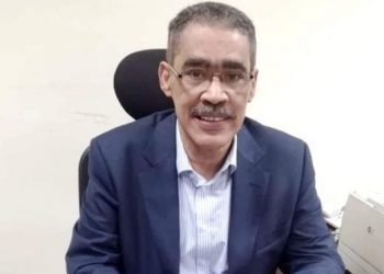 Diaa Rashwan re-elected as EJS head