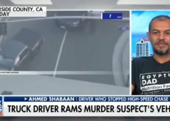 Egyptian US resident teaches lesson in courage