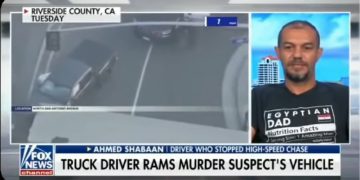 Egyptian US resident teaches lesson in courage