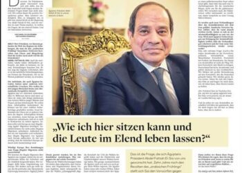 Sisi to Die Welt: Security should not be achieved at expense of freedom