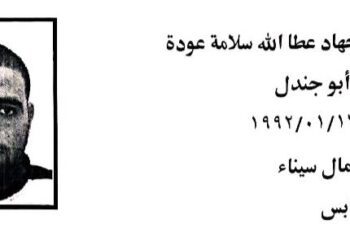 3 terrorist elements killed in shootout with police in North Sinai