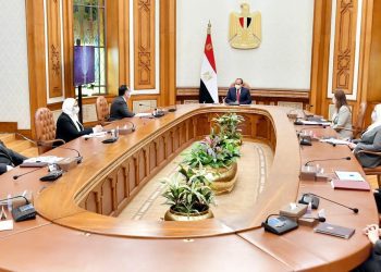 Sisi: National Project for Family Development set to elevate quality of life’s multiple facets