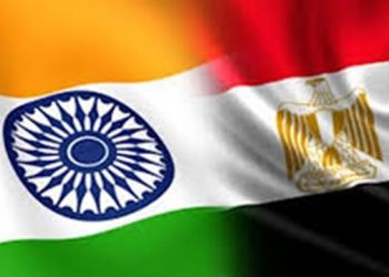 Egypt, India discuss boosting co-operation in SMEs