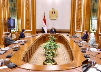 Sisi assesses universal health insurance, response to Covid-19