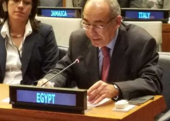 Egypt briefs UN Security Council on Great Lakes situation