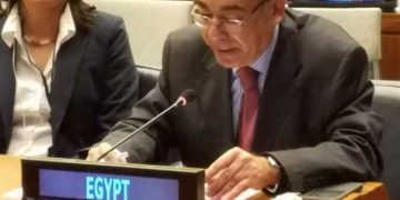 Egypt briefs UN Security Council on Great Lakes situation 1 - Egyptian Gazette Egypt briefs UN Security Council on Great Lakes situation