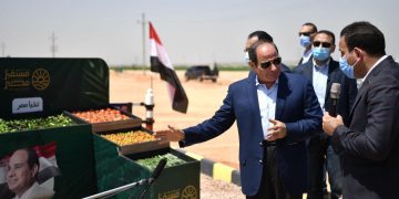 ‘Future of Egypt’ project crucial for sustainable agriculture