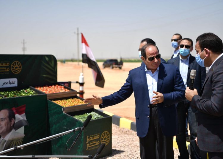 'Future of Egypt' project crucial for sustainable agriculture 1 - Egyptian Gazette