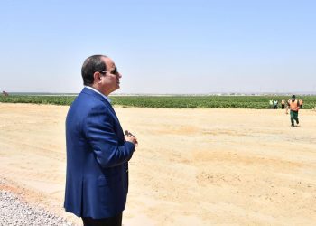 Sisi calls on agricultural firms to increase investments in “Future of Egypt” project