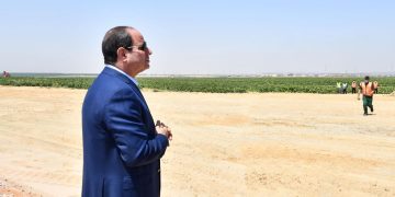 Sisi calls on agricultural firms to increase investments in “Future of Egypt” project