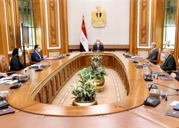 Sisi calls for electric car industry localisation 