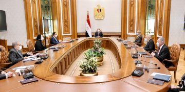 Sisi calls for electric car industry localisation 