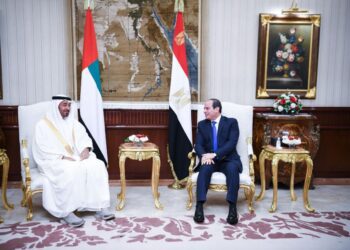 Sisi, bin Zayed discuss bilateral ties, regional scene, GERD