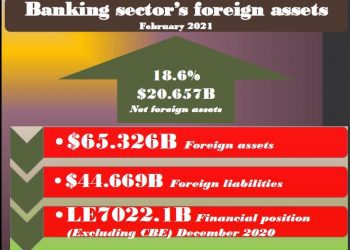 Banking sector’s net foreign assets jump 18.6% 8 - Egyptian Gazette
