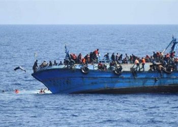 Egypt presented world model for fighting illegal immigration, backing refugees