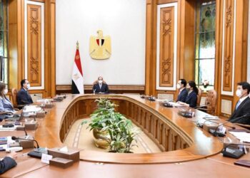 Sisi stresses importance of industry localisation