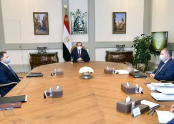 Sisi calls for realising maximum return from unutilised assets