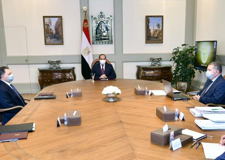 Sisi calls for realising maximum return from unutilised assets 1 - Egyptian Gazette