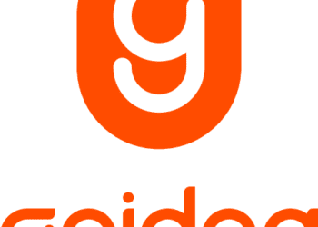 NBE, Geidea co-operate to provide payment solutions