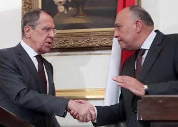 Shoukry, Lavrov agree on importance of ending Israeli attacks on Gaza